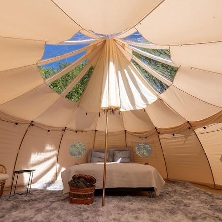 Holmegaard Vin Og Glamping Hotell Dannemare Exteriör bild